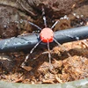 50 Pcs Adjustable Dripper Red Micro Drip Irrigation Watering Anti-clogging Emitter Garden Supplies for 1/4 inch Hose ► Photo 2/6