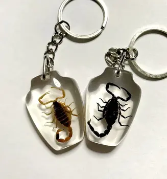 

YQTDMY Dozen Real Scorpion Keychain/Keyring in Artificial cool biker Scorpion Resin key-chains