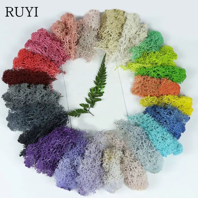 

500g/lot Artificial plant eternal life moss / Garden home decor wall DIY Flower material Mini Garden Micro Landscape Accessories