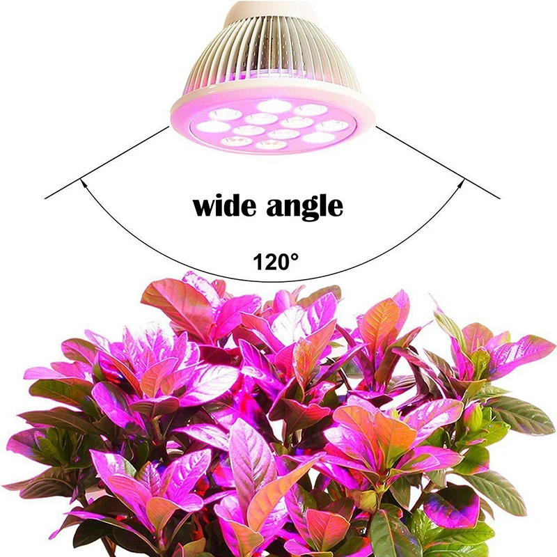 BEYLSION LED Grow Light PAR38 9W 12W 24W 36W RED BLUE Grow Lamp Bulbs AC85-265V For Indoor Garden Hydroponic Flowering  (13)