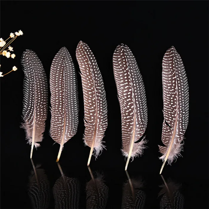 pearl pheasant feathers 9