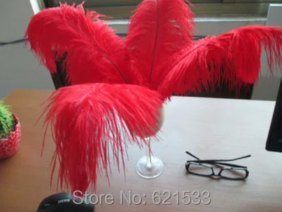 FO110 (11)