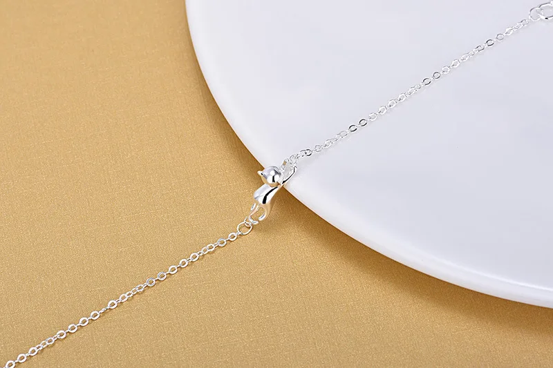 4090926444_687529415