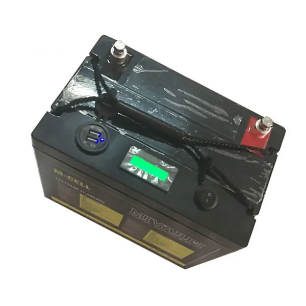 Глубокий цикл Recargable Litio Batterie 12 V 100Ah литий-ионный аккумулятор с usb-портами+ уровень питания+ переключатель включения/выключения