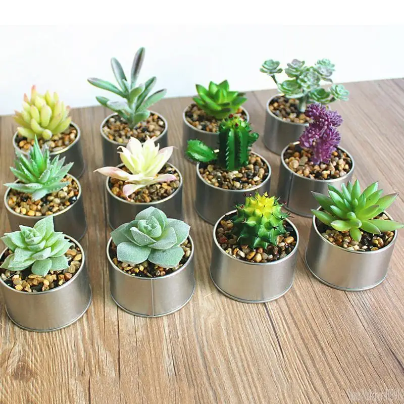 

Vase+Succulent plants set Real Touch Mini palm bonsai artificial fleshiness Cactus decorative flower for table decoration plants