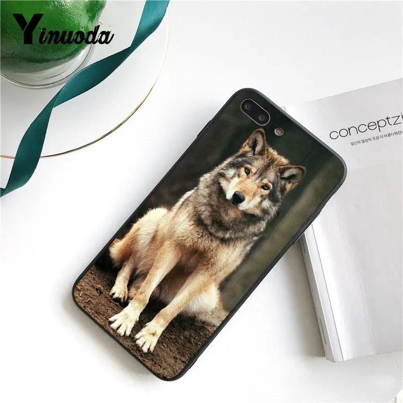 Cool Wolf (5)
