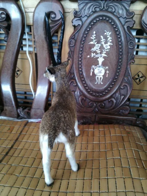 aeProduct.getSubject()