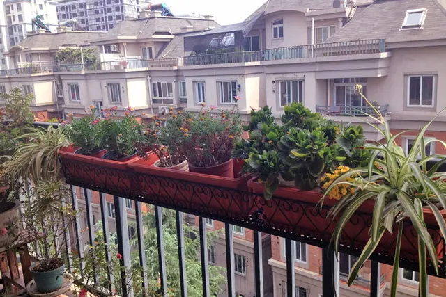 smeedijzeren hekwerk hek bloem balkon stellingen met