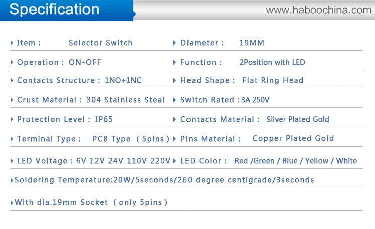 p19+socket