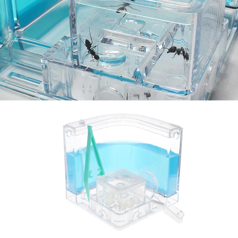 

Ant Farm Gel Maze 3D Educational Nursery Live Feeding System Novelty Habitat New