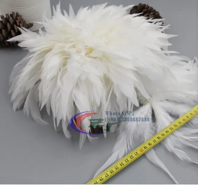 

Wholesale Price 6-8 Inch 900pieces/bundle Natual White Coque Tail Strung Feather Rooster Feather trim For Millnery