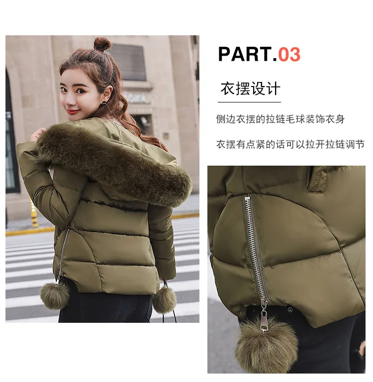Cotton (12).jpg