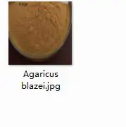 100g Agaricus blazei 300 грамм агарикус blazei Таурин артишок - Цвет: 100g Agaricus blazei