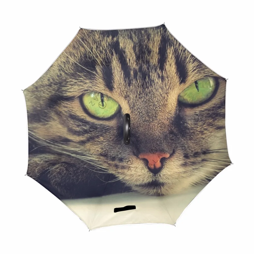 g4383144p183c217s313_1