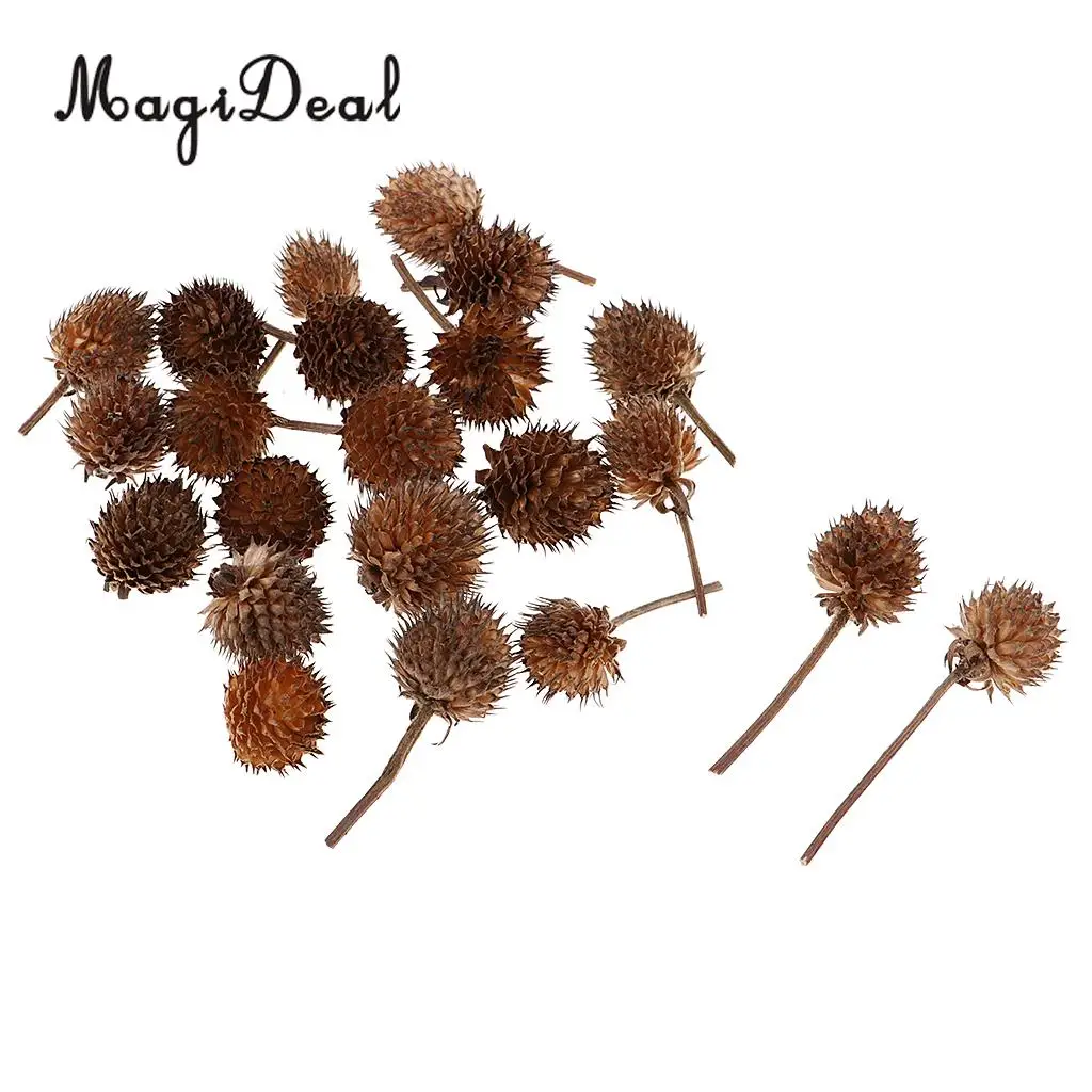 50pcs in Bulk Natural Dried Flowers Gomphrena globosa buds Handmade Candy Box Christmas Wedding Decoration Home Floral Ornaments