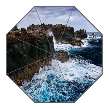

Custom Rock Umbrellas Polyester Fabric High Quality Sunny And Rainy Umbrella Non-Automatic Umbrella For Adults