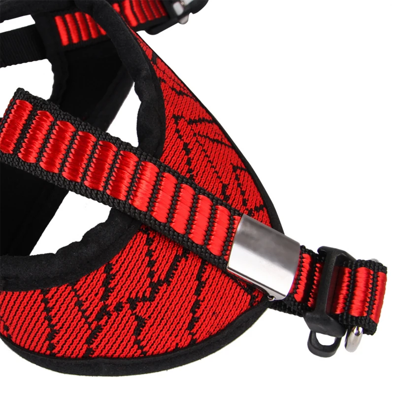 IMG_1833