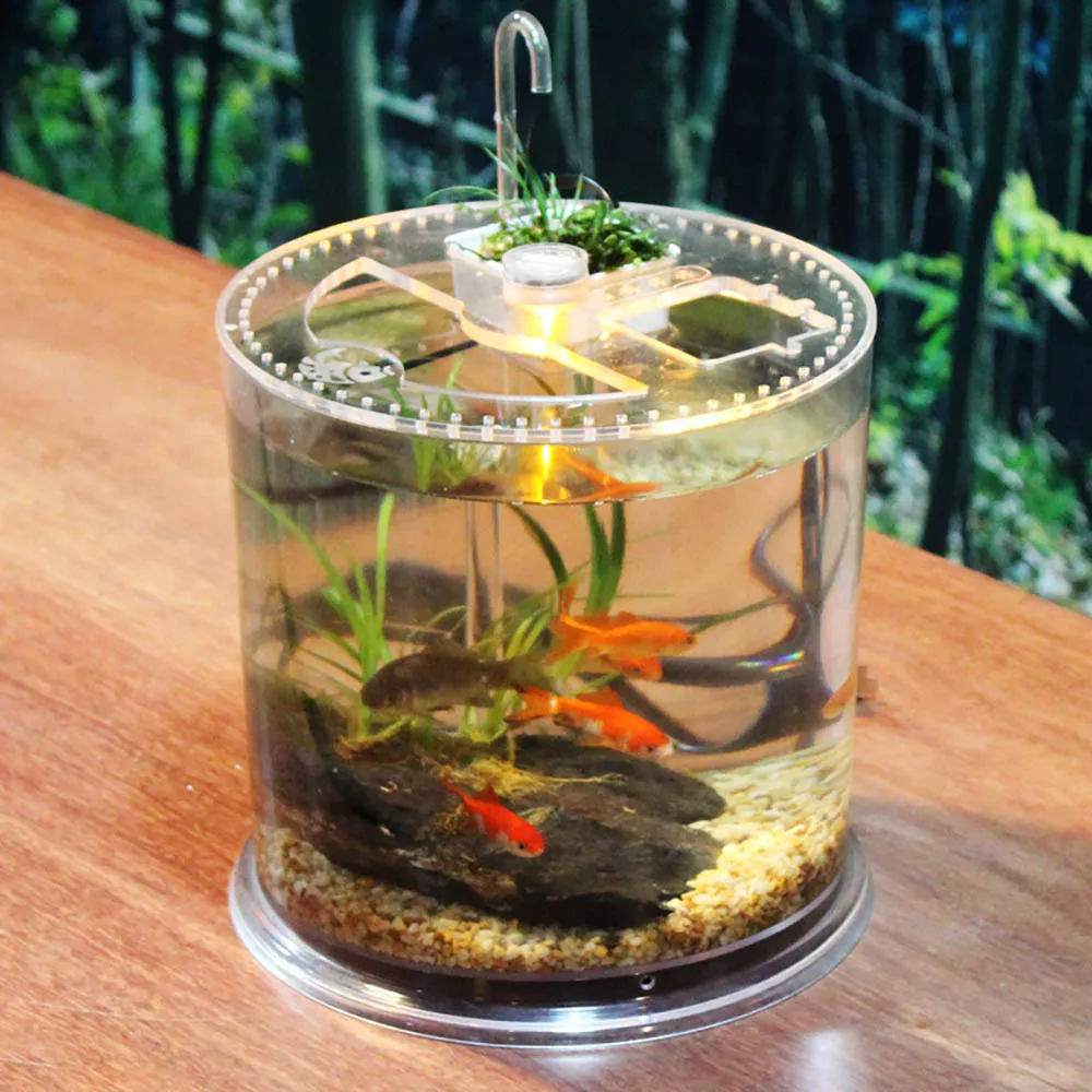 Креативный прозрачный Настольный аквариум для рыб маленькая черепаха для разведения прозрачная акриловая коробка для ландшафтного дизайна аквариумная рептилия - Цвет: Type 2
