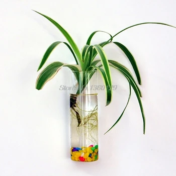 

Wall Hanging Glass Flower Planter Vase Plant Pot Terrarium Home Garden Decor Nov18 Wholesale&DropShip