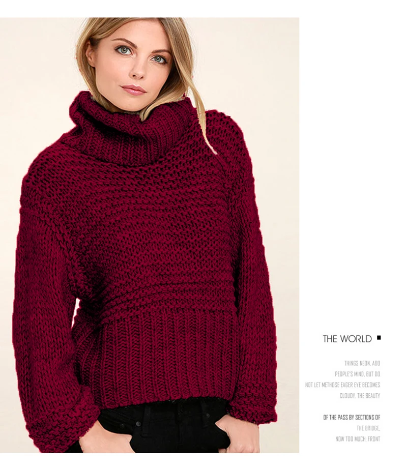 Simple Sweater (13)