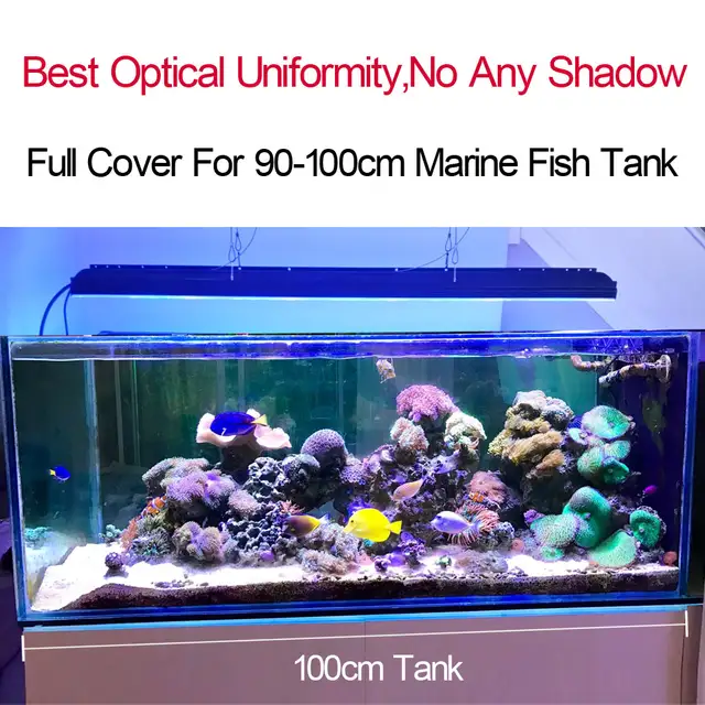 online shop popbloom marine