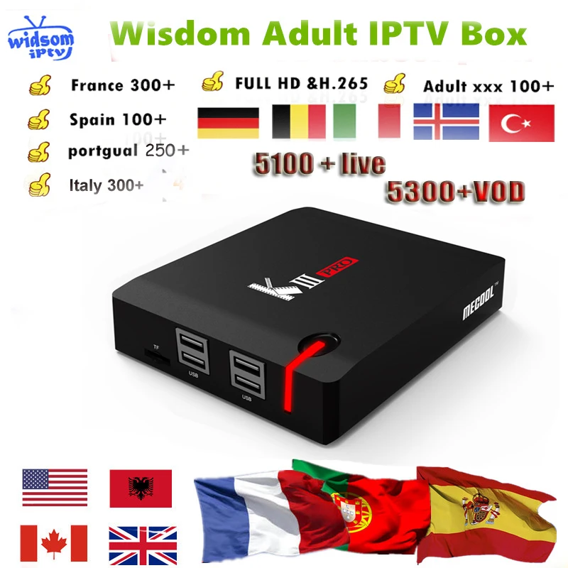 Mecool KIII PRO DVB-T2 и S2& C+ 1 год подписки IPTV Европа Великобритания Пособия по немецкому языку арабский Швеции французский Польша испанско-португальский США Канада