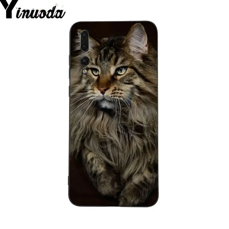 Yinuoda Pet Maine Coon Cat Diy чехол для телефона с рисунком Huawei P9 P10 Plus Mate9 10 Mate10 Lite P20 Pro Honor10