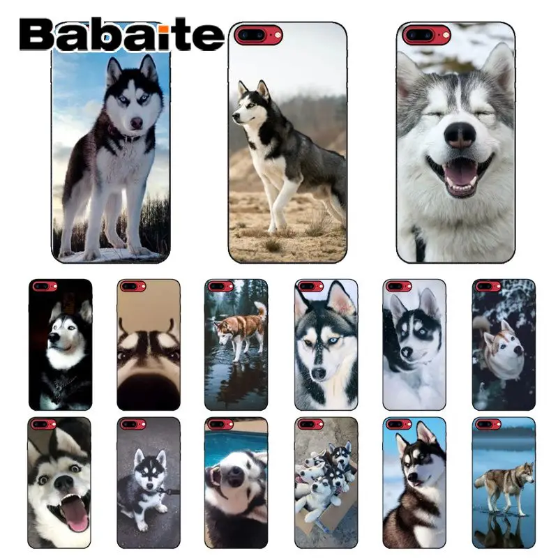 Babaite Animal dog husky Soft Silicone black Phone Case for Apple iPhone 8 7 6 6S Plus X XS MAX 5 5S SE XR Cover | Мобильные