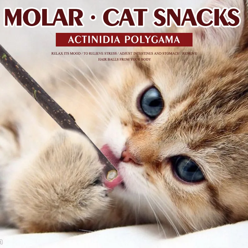 

5pcs Cat Toy Cleaning Teeth Pure Natural Catnip Snacks Pet Cat Molar Toothpaste Stick Natural Silvervine Toys For Cats CT245