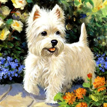 

Diamond Embroidery Sale Flower Puppy Diamond Mosaic Diamond Painting Full Display Square Rhinestones Art Home Decor