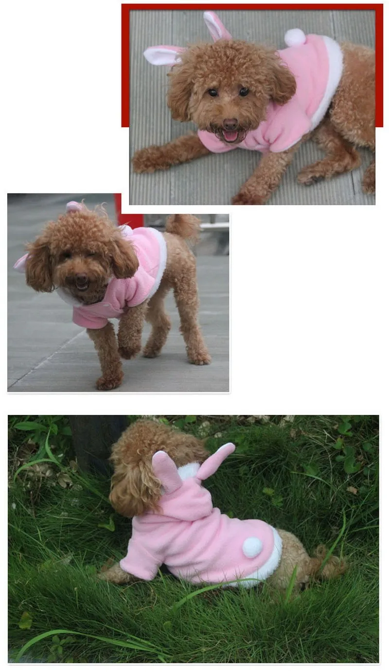 Осенне-зимняя одежда для собак хлопковая одежда с кроличьими ушками шляпа щенок плюшевый Кот толстовки Одежда для домашних животных Костюм Спортивная одежда XS-XL CW009