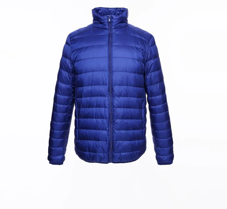 royal blue Брендовый пуховик большого размера с длинным рукавом и стоячим воротником, осенне-зимнее пальто, мужские черные куртки на молнии, мужские пуховики Ds50796 - Цвет: royal blue