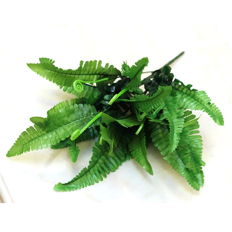 plant-4