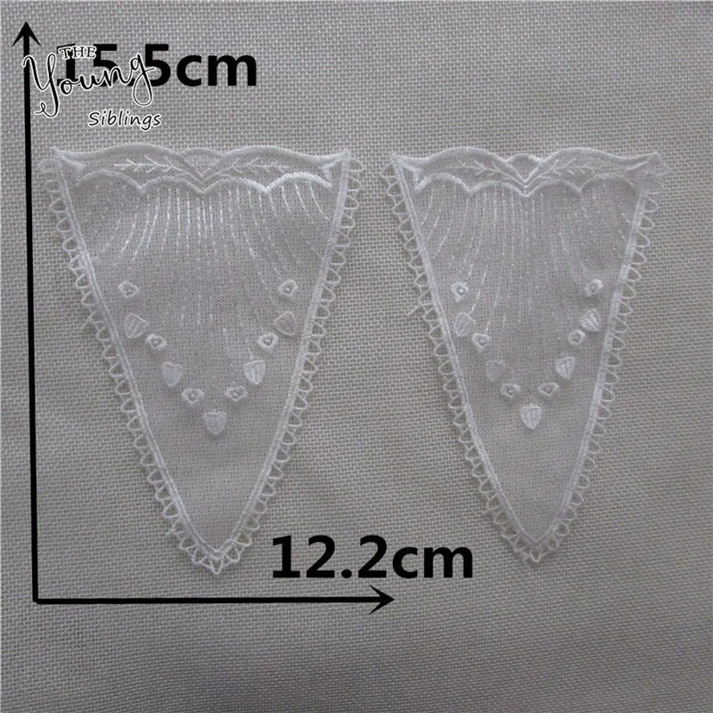 YL868 (2)