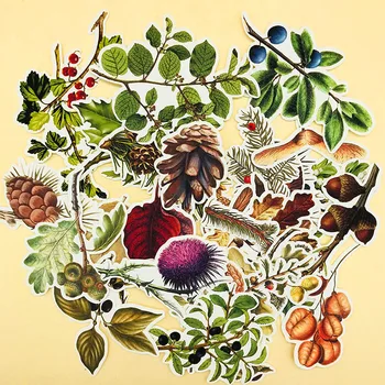 

29PCS Vintage stickers plant illustrations pine cone series DIY scrapbooking album happy planner handicraft decorative stickers