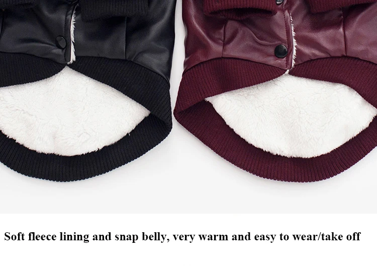 dog clothes leather (9)