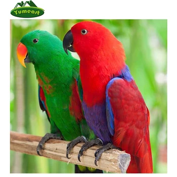 

Diamond Embroidery Full Gear Parrot Lovers Pictures of Diamonds Cross Stitch Diamond Painting 5D Options Home Decoration Crafts