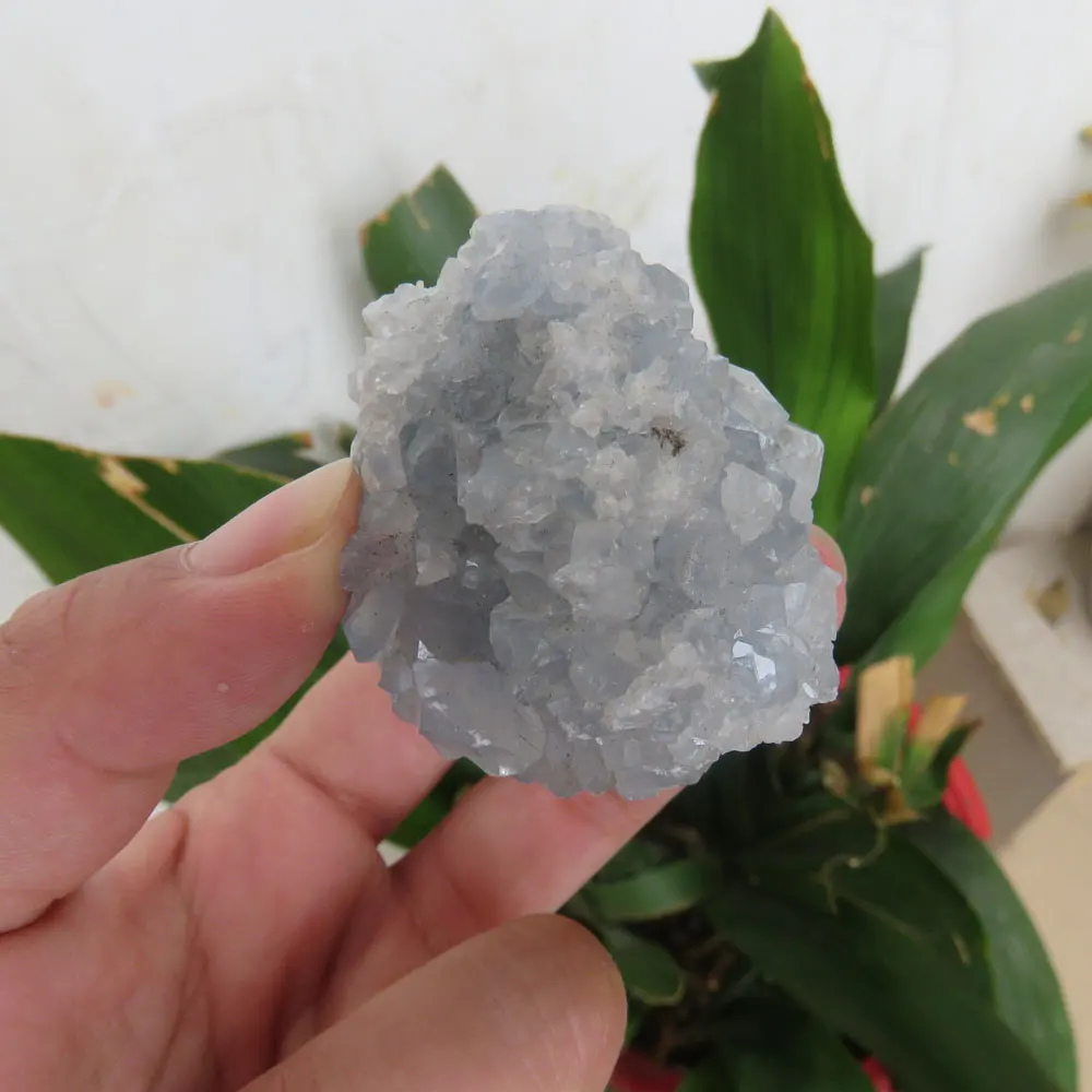 

Low Price ! AAAA+ 120g Raw Natural Celestitie Crystal Clusters Mineral Specimen Stone