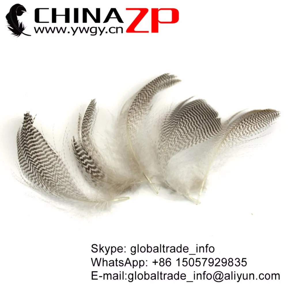 Natural Mallard Duck Feathers (1)