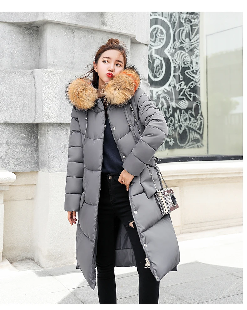 Winter Jacket Women Medium And Long Section Big Fur Collar Cotton Clothing Winter Jacket Women Coats Women Parka 2018 CH778 (25)