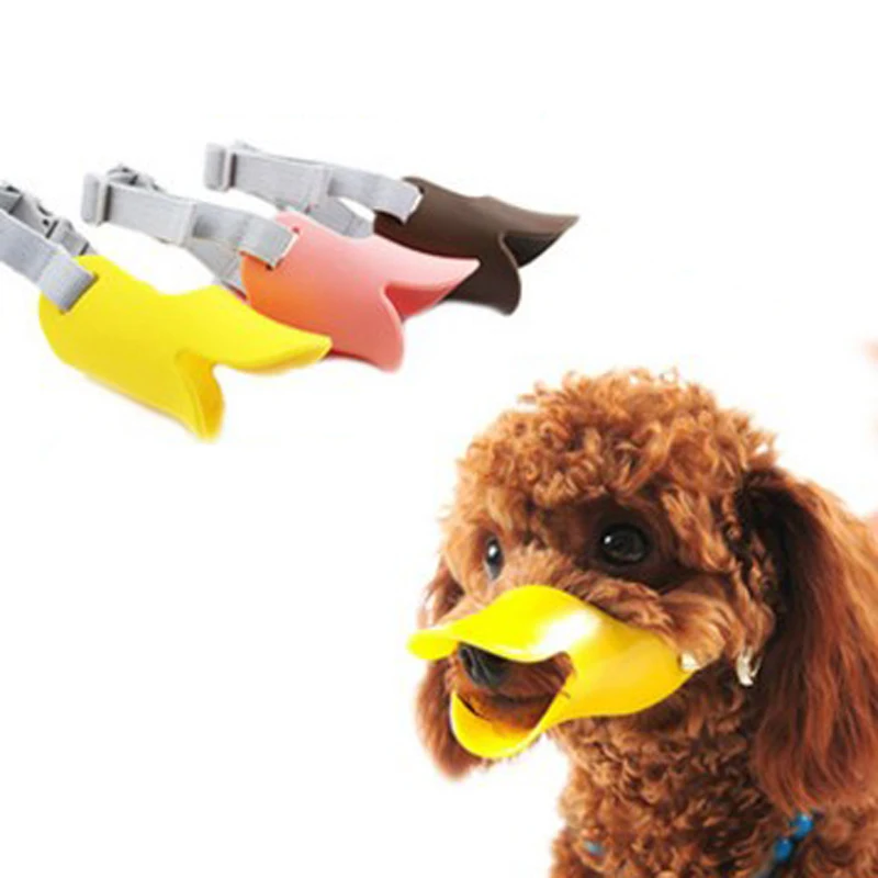 little dog muzzle little dog muzzle