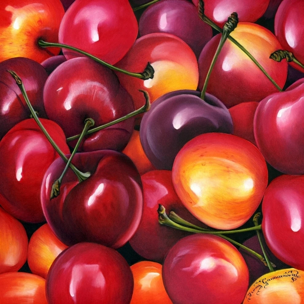 Cherries Poster Print by Irina Garmaschova-Cawton (12 x 12)