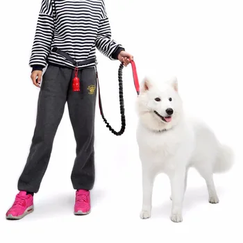 

Hot Nylon Pet Leash Retractable Elastic Waist Dog Leash Running Jogging Dog Sport Products Reflective Dogs Leashes With Belt