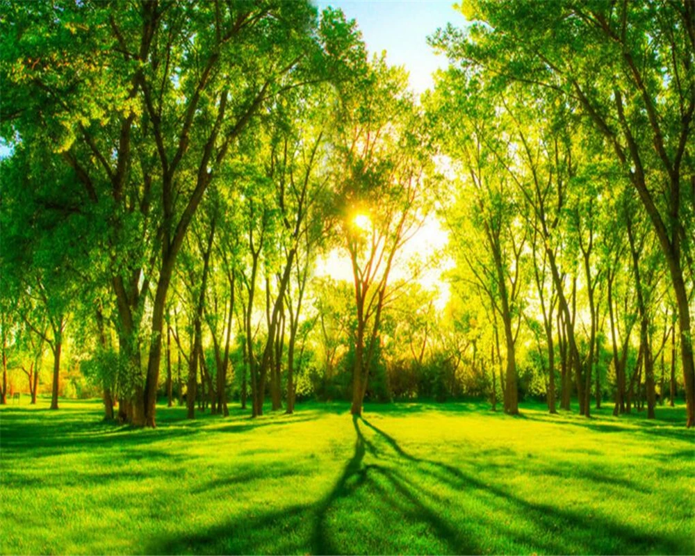 Papel pintado de foto personalizado de Beibehang 3d bosque verde