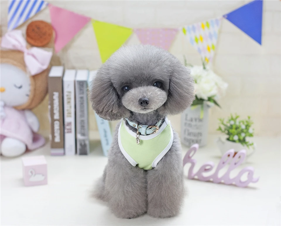 dog clothes summer vest (18)
