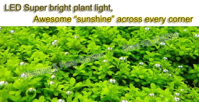 C001