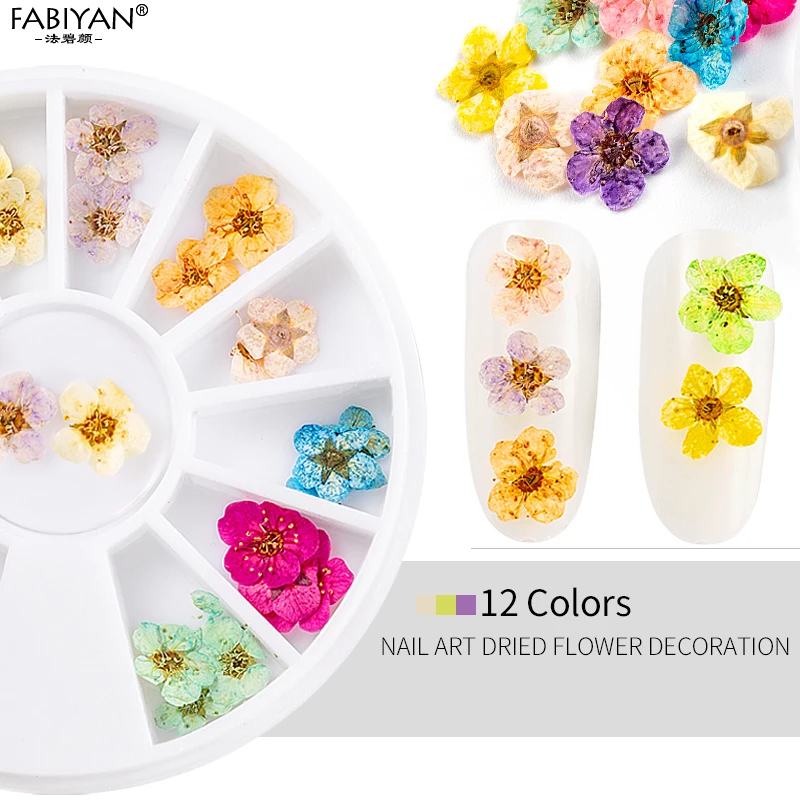 

Wheel 12 Color Dried Dry 3D Flower Tips Nail Art Decoration Design Manicure DIY