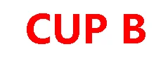 B CUP Пара спирального типа медицинский силиконовый послеоперационный грудной искусственный груди Восстановление вогнутое дно поддельные груди - Цвет: B CUP