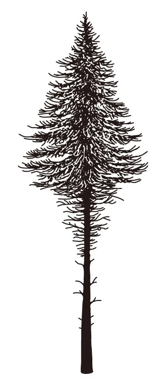 

tree Transparent Clear Stamps for DIY Scrapbooking/Card Making/Kids Christmas Fun Decoration Supplies
