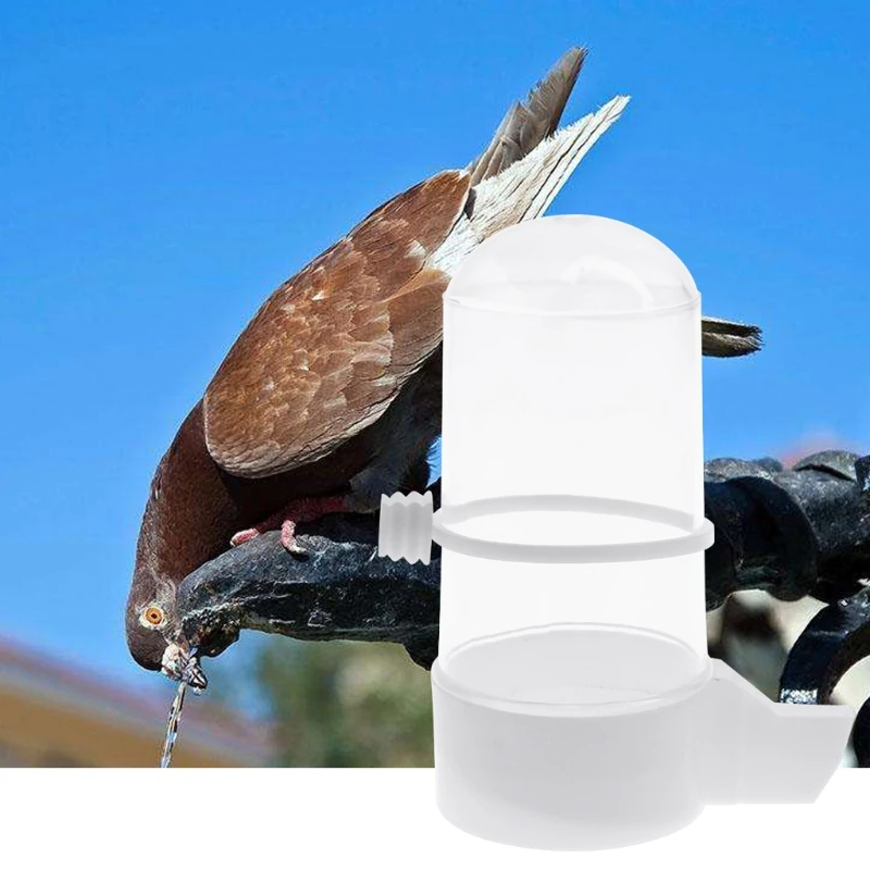 Кормушка для птиц водная поилка Budgie Canary Finch диспенсер для пищевых продуктов принадлежности для птиц для кормления домашних животных